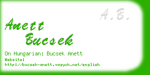 anett bucsek business card